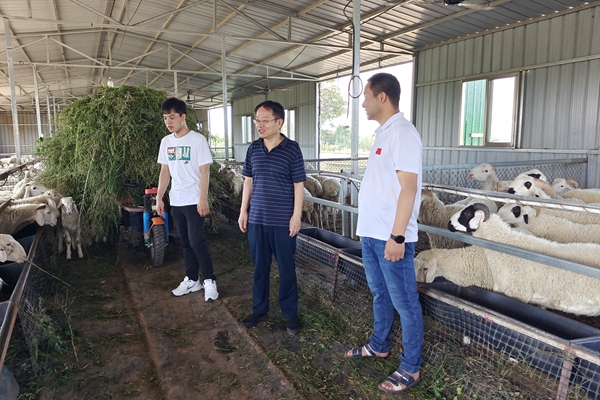 5d357994d53d4db286ae967cccba8332.jpg 胡建宏教授与经理进行交流.jpg