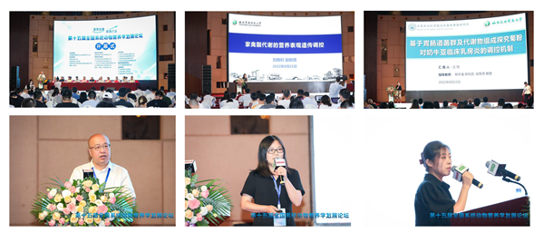 cb9676055de84dfaa0f6ca80017e07e5.png 1_副本.png