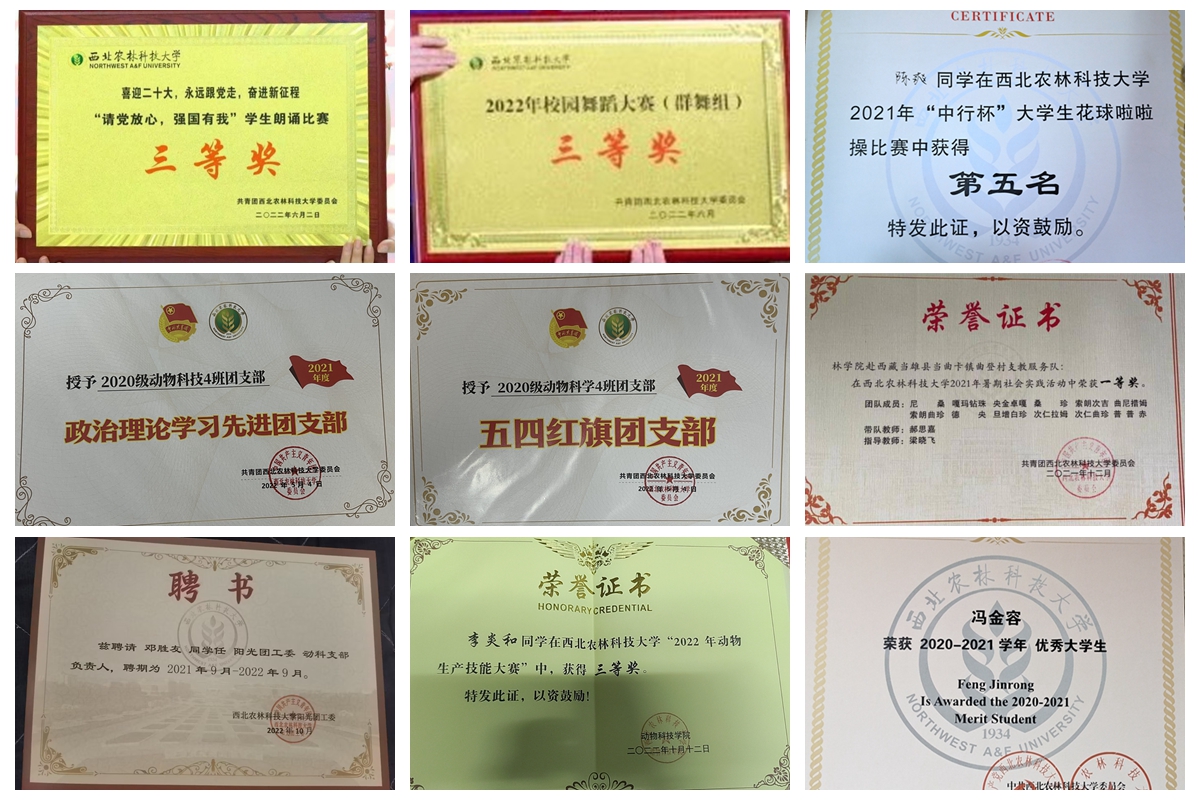 7070e191aff3443581c7b9e12c1d3c89.jpg 7070e191aff3443581c7b9e12c1d3c89.jpg