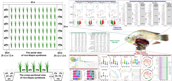 f02d8f4797a3435b834478993fcbf121.png 图片1.png