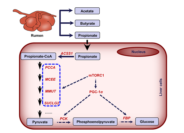 021aeec54c4e417f8afd18383cda8608.png 1.png