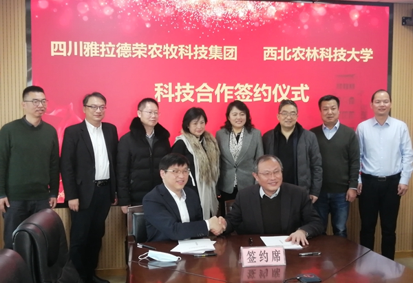 813418aaf8504554adcb8e2e8979c12e.jpg 签约.jpg