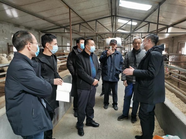 5560b23b20974dd1bcf58870e5fa03cd.jpg 2_副本.jpg