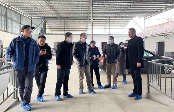 67c46962896244708e1cc14b189c5f99.jpg 3.jpg