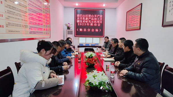 6f0050c3267d4b4bb98d0c6dac401d59.jpg 2.jpg