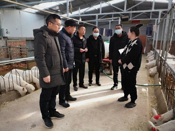 979c72f0f1d148cb8a9afbb78b32ef39.jpg 1_副本.jpg