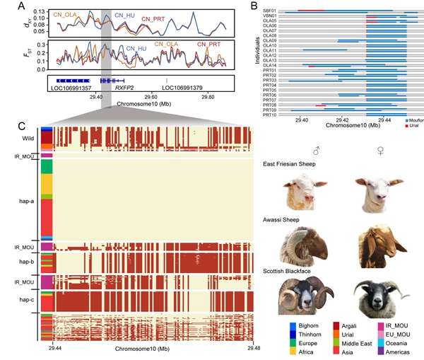 9b668e16ce5e48afb62e64f464263162.jpg 修改格式2_副本.jpg