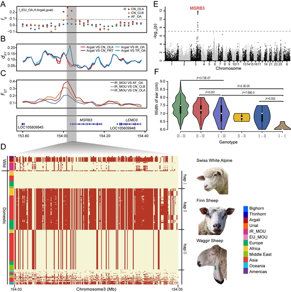 a018a88ccd794bd39c34c0815fd8a77e.jpg 修改格式3_副本.jpg