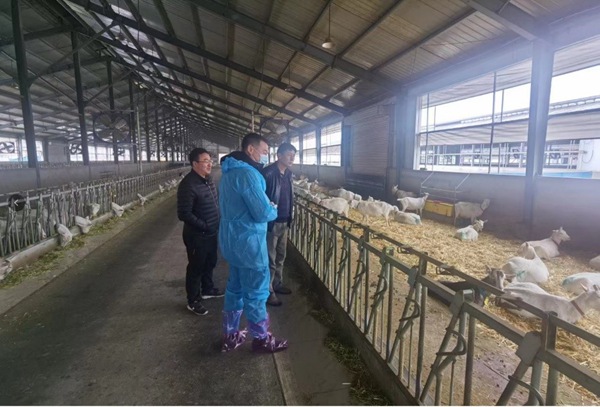 c172bd85fa3d490fa521b752e1f3af70.jpg 3_副本.jpg