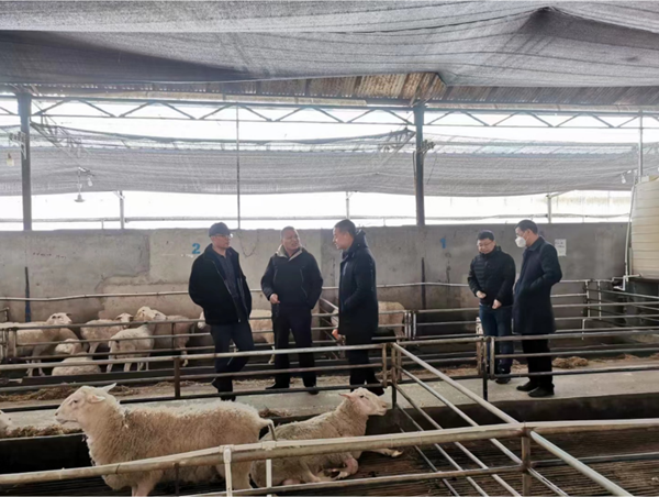 d28c666e3f964ff08e1d726046467fdf.png 4_副本.png