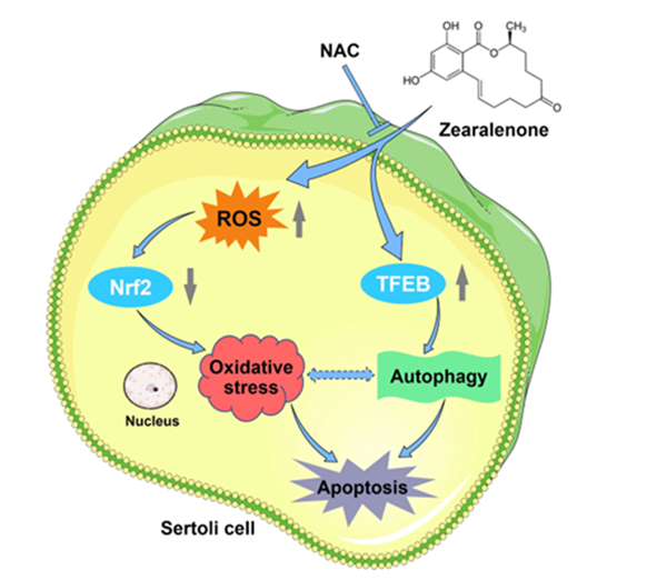 e1ddeaa37ad647f2985d3fb89e46072d.png QQ图片20230214085315_副本.png
