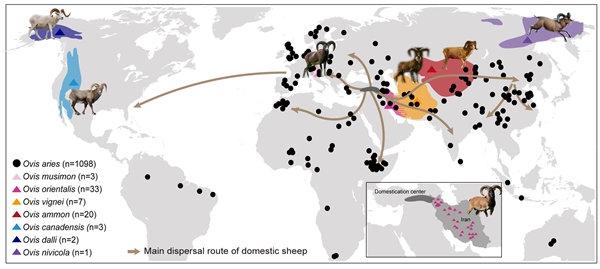 fd6894e876324242be6c8e1d7c8331f3.jpg 修改格式11_副本.jpg