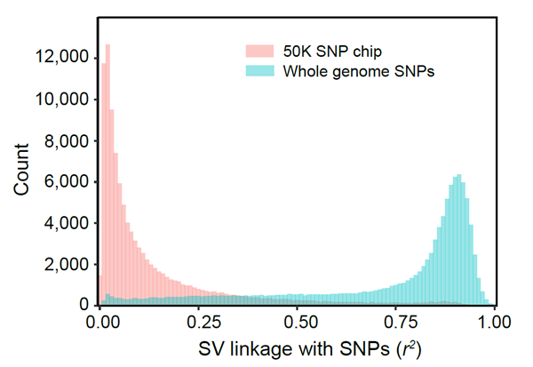 5f6bc7bcafa14cb7be4541703d80cf0c.png 图2_副本.png