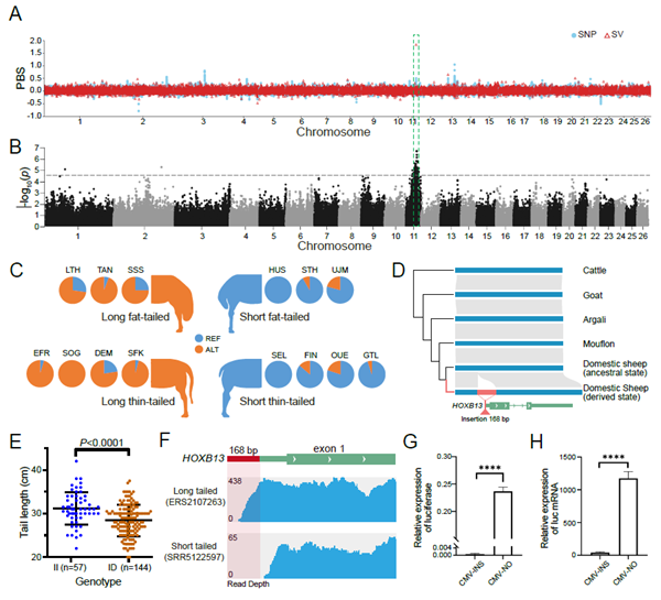 ef4f4923b28048ab957d1a55ec5acbab.png 图3_副本.png