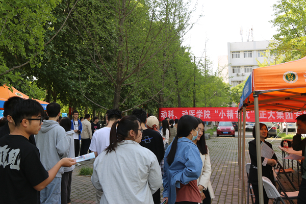 401ad125b6764a77b040af725d21b691.jpg 3.jpg