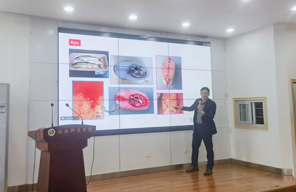 646026cd677b405a83db48efea86dc09.jpg Gen_副本.jpg