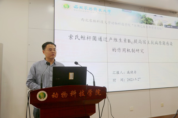 db93f0a833e340a1b021b945f8116a98.jpg 6.jpg