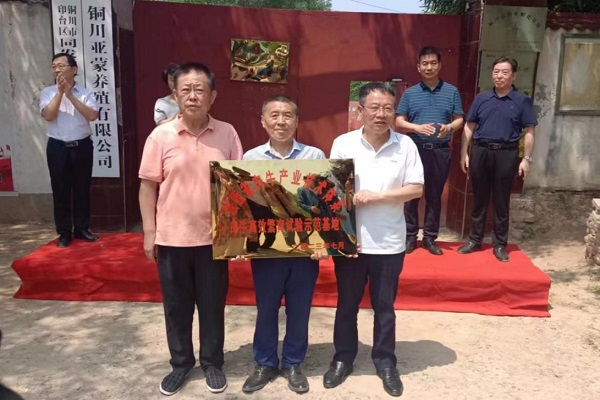 465059ae8d5b4d66bd4adda92847c8e5.jpeg 20230721101043574-67-048d4.jpeg