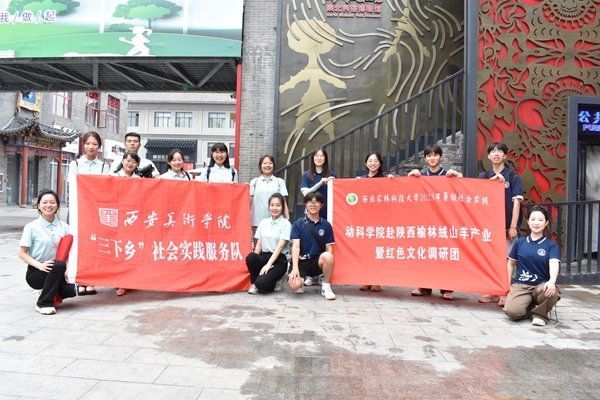 图片三 澳门六合彩高手
团队与西安美术澳门六合彩高手
团队合影.JPG