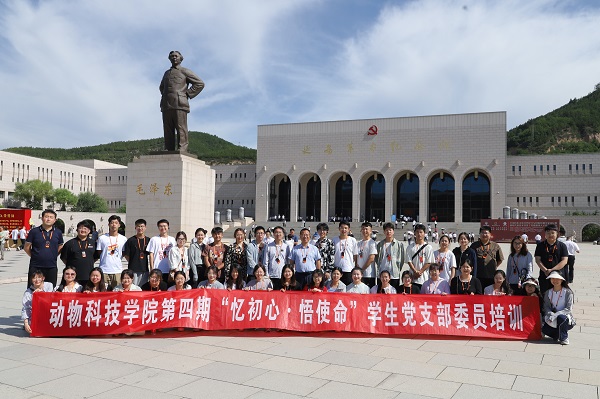 9b91f577e1c84bf9b81d34507528198f.jpg 356556597cc3460c9f236605af88ed6a.jpg