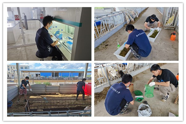 a148424295ef40e09924236f036fadac.jpg a148424295ef40e09924236f036fadac.jpg