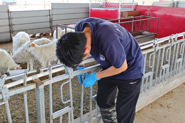 b63c5e9809534254ac7b647cd274105e.jpg 图片二 队员对圈舍进行加固 .jpg