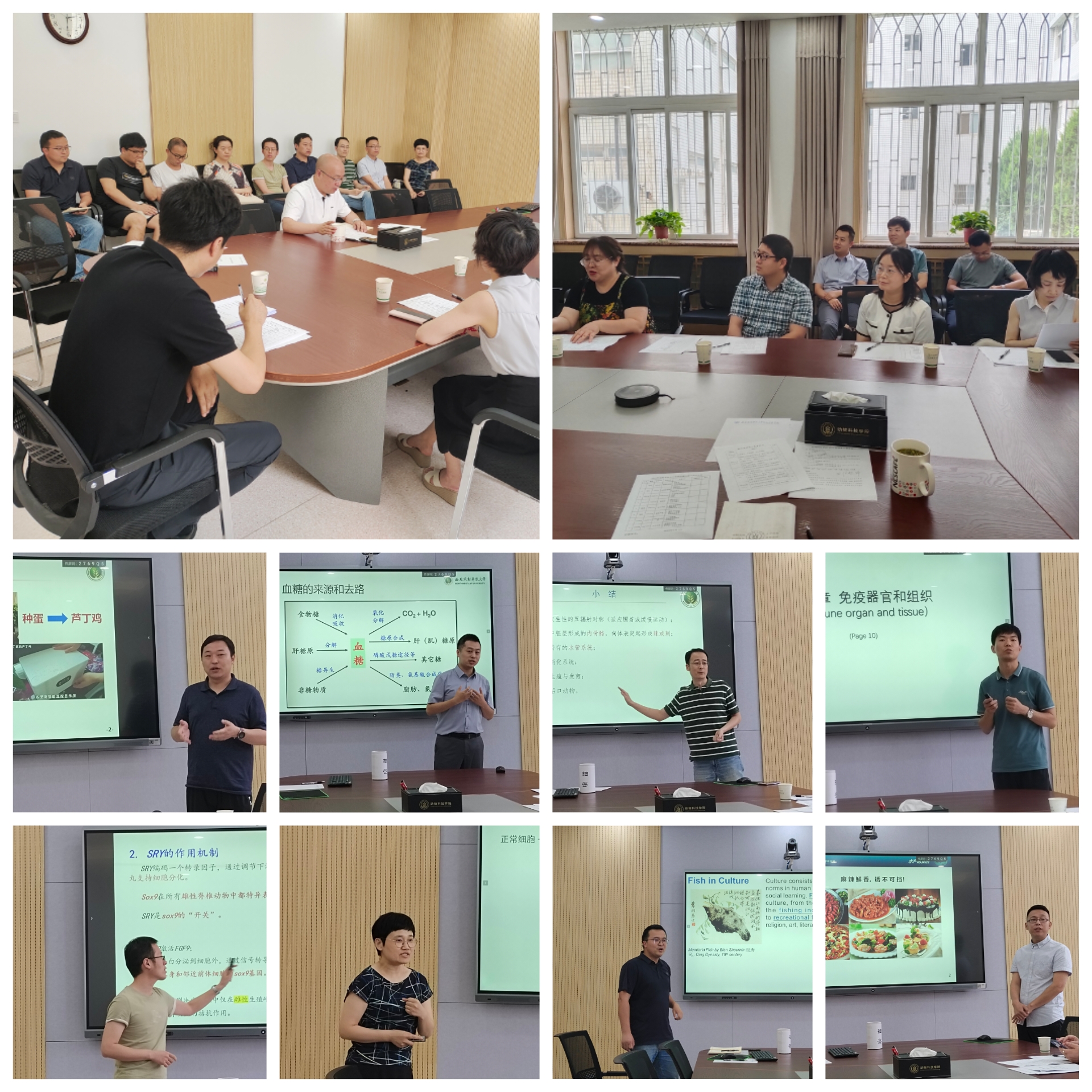 df09b13f403c4e159983faa440726f19.jpg 20230707_171917_edited.jpg