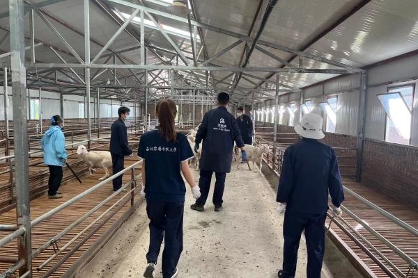 47a4cd602491449a95d8252f8ab6709b.jpg 图片一 队员参观上河羊场.jpg