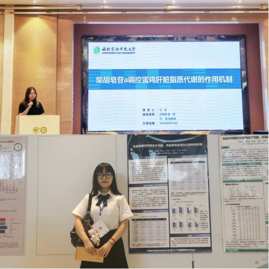 8ec4daf039694d43999546cb715b6092.png image.png