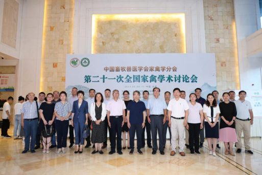 d44ad5d520e04ebcafddf2276db6cae9.png image.png