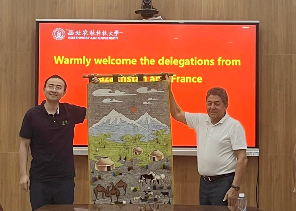 2f22dd314a6d468bacb3cf12d1f5169d.jpg 礼品.jpg