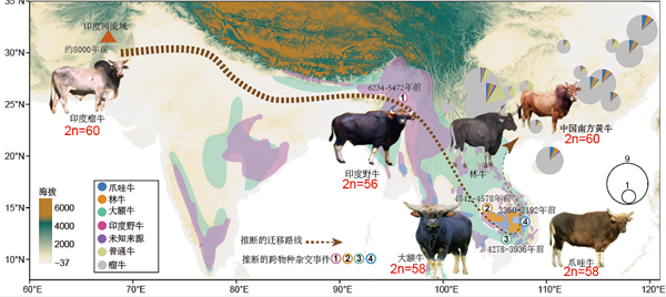 7269cec569c44633ba5e66e10ca76077.png QQ图片20230918091346_副本.png