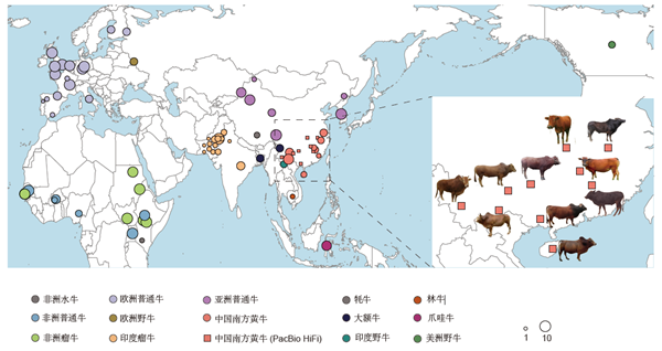 ca0fcfa488a645549f45b77afd951dc6.png 图一_副本.png