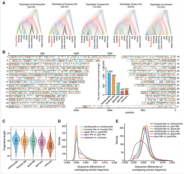 f93e3f723c9e46e5b80135a2e7beecb5.png QQ图片20230918091220_副本.png