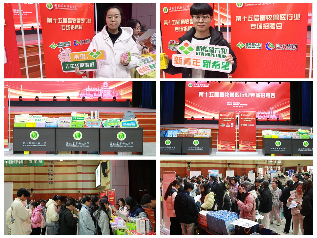 光影魔术手拼图.jpg
