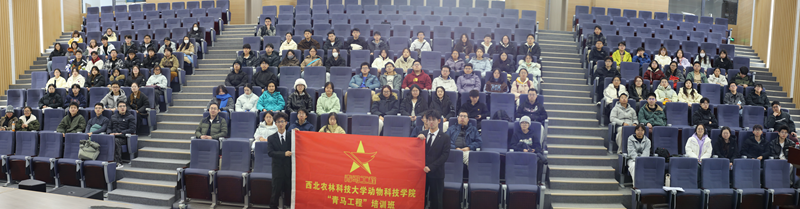 未标题_全景图-3.png