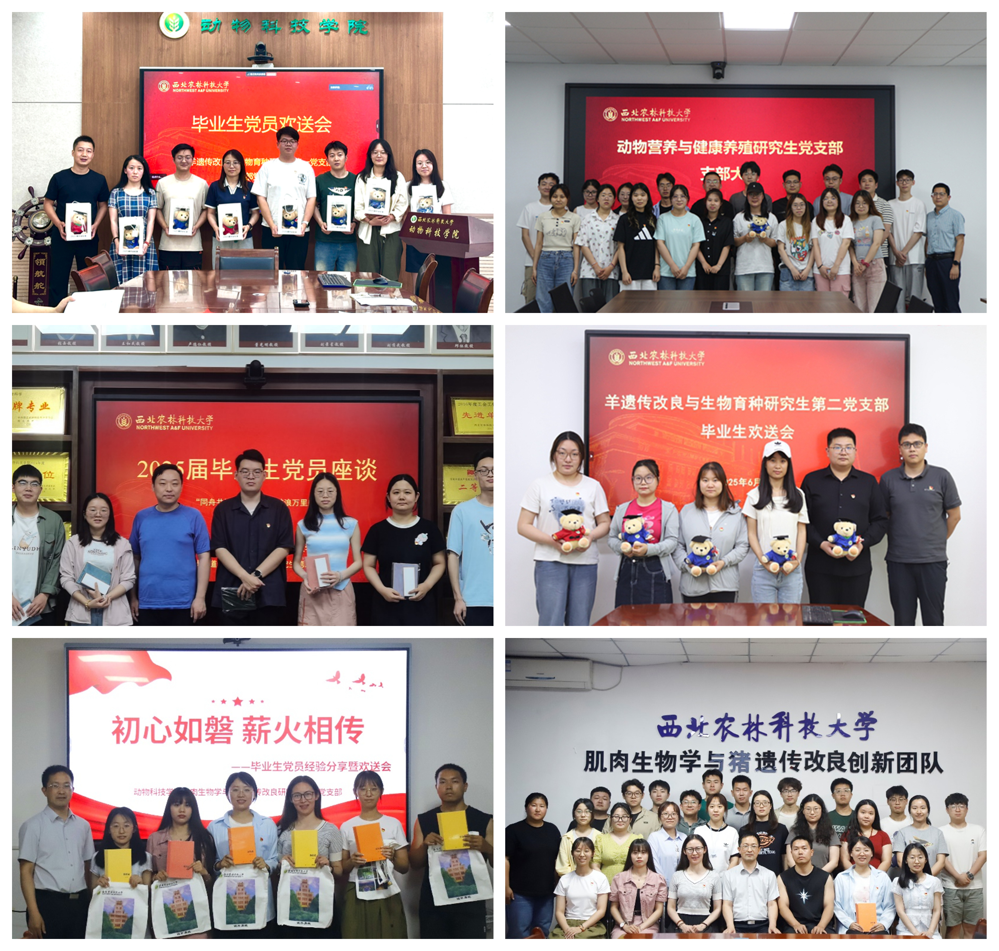 光影魔术手拼图.jpg