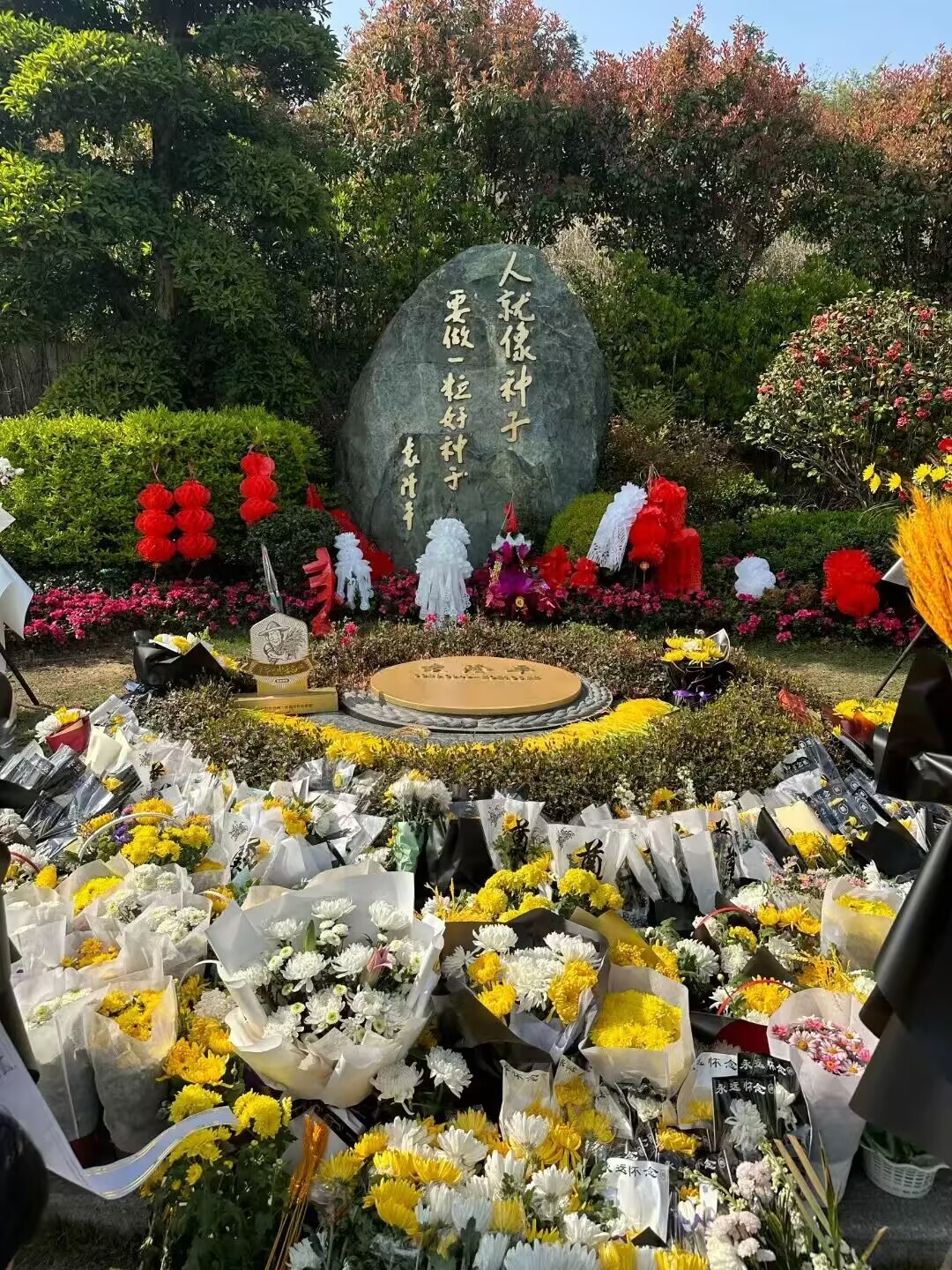 图二：祭奠袁隆平院士.jpg