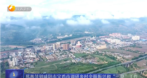 【陕西卫视】省委副书记邢善萍赴澳门六合彩高手
正大吨产奶山羊育种基地考察调研