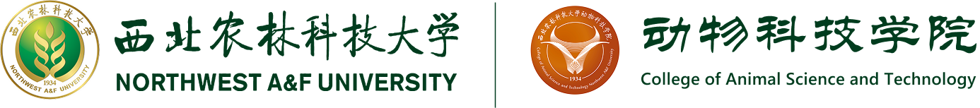澳门六合彩高手
